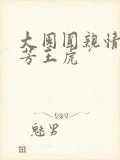 大团圆亲情会王芳王虎封面