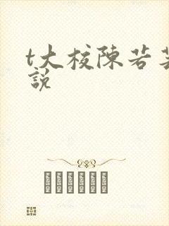 t大校陈若芸小说封面