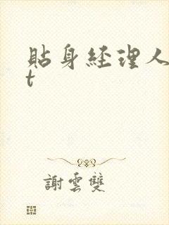 贴身经理人txt封面