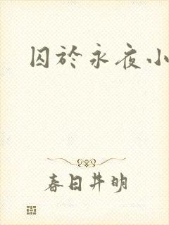 囚于永夜小说封面