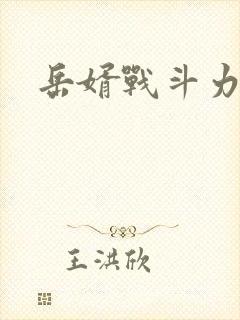 岳婿战斗力