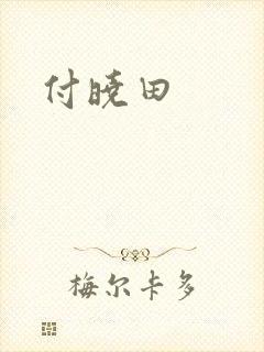 付晓田