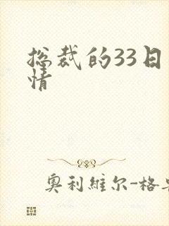 总裁的33日索情