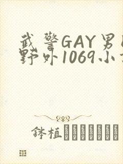 武警GAY男同野外1069小说封面