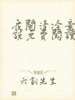 夜阑清冷意欢小说免费阅读封面