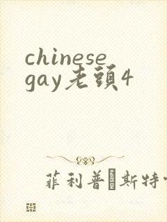 chinesegay老头4