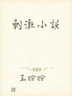 刺激小说