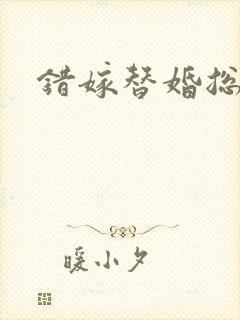 错嫁替婚总裁
