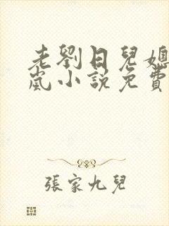 老刘日儿媳妇张岚小说免费阅读
