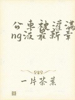 公车被灌满jing液最新章节