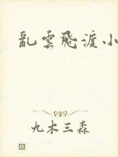 乱云飞渡小说封面