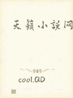 天籁小说网