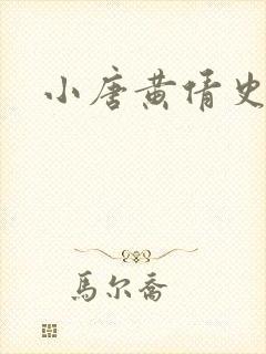 小唐黄倩史