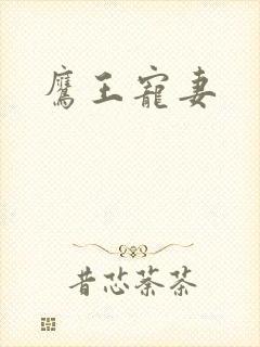 鹰王宠妻