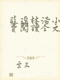 苏瑶林浩小说免费阅读全文最新章节封面