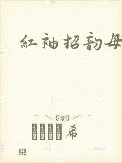 红袖招韵母攻略