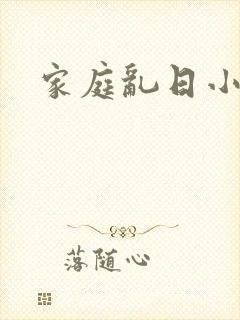 家庭乱日小说封面