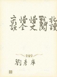 宋惜惜战北望小说全文阅读封面