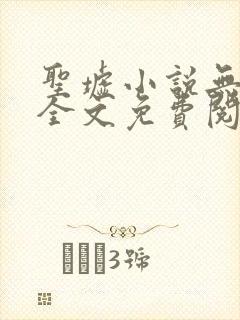 圣墟小说无弹窗全文免费阅读封面