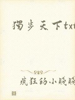 独步天下txt