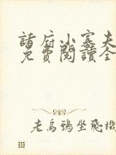 诸府小寡夫小说免费阅读全文无弹窗