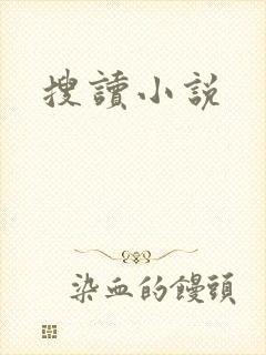 搜读小说