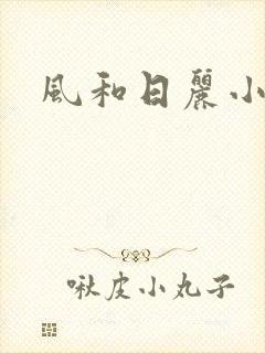 风和日丽小说封面