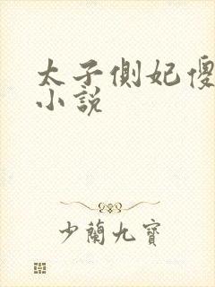 太子侧妃傻乎乎小说封面