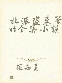 北派盗墓笔记txt全集小说