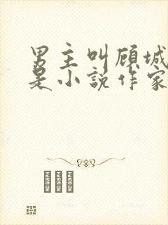 男主叫顾城女主是小说作家的小说