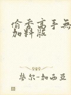 偷香高手无删减加料版