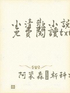 小清欢小说全文免费阅读txt封面