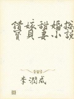 错嫁甜婚总裁的宝贝妻小说完整版