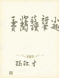王悍苏祈小说免费阅读笔趣阁最新