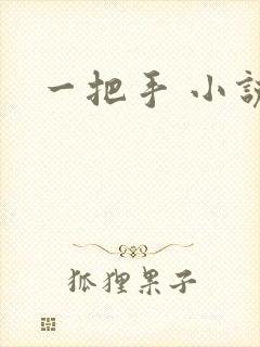 一把手 小说封面