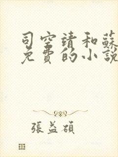 司空靖和苏月汐免费的小说笔趣阁