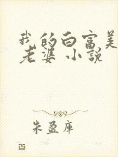 我的白富美总裁老婆 小说