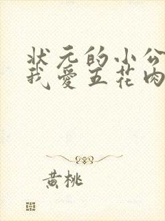 状元的小公主(我爱五花肉)封面