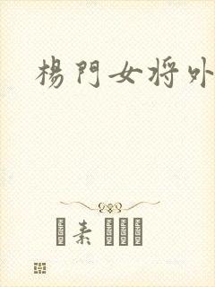 杨门女将外传