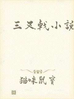 三叉戟小说