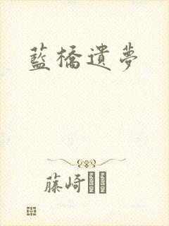蓝桥遗梦封面
