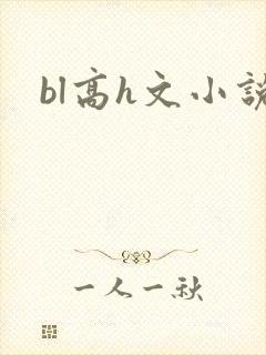 bl高h文小说