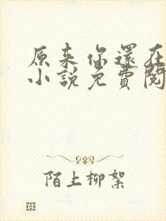 原来你还在这里小说免费阅读封面