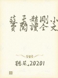 苏柔赵刚小说免费阅读全文