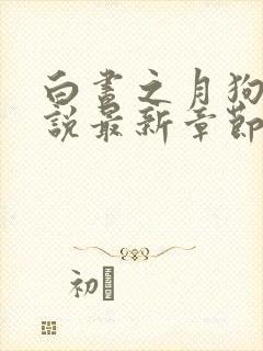 白昼之月狗子小说最新章节免费阅读