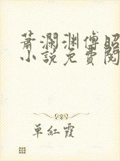萧澜渊傅昭宁的小说免费阅读封面