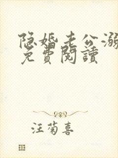 隐婚老公溺宠妻免费阅读