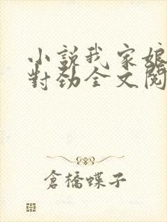 小说我家娘子不对劲全文阅读免费