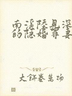 南溪陆见深陆少的隐婚罪妻