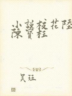 小说校花陆冰嫣陈宝柱